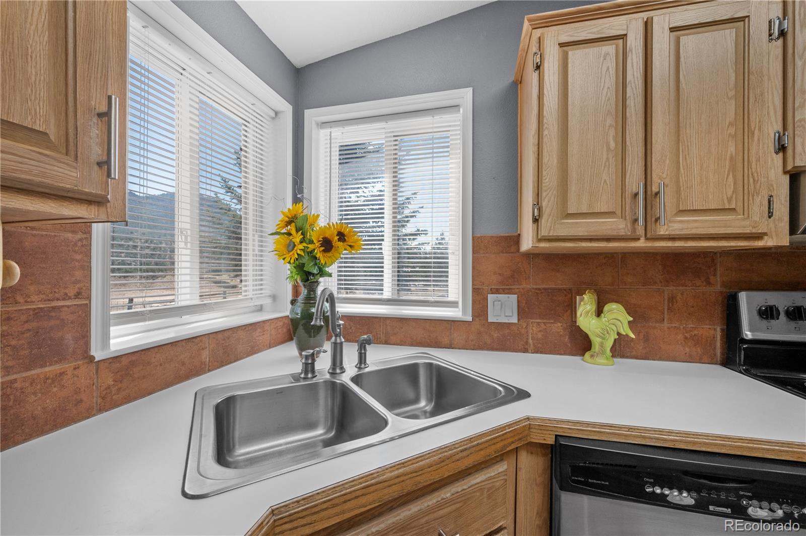 MLS Image #21 for 539  arizona street,buena vista, Colorado