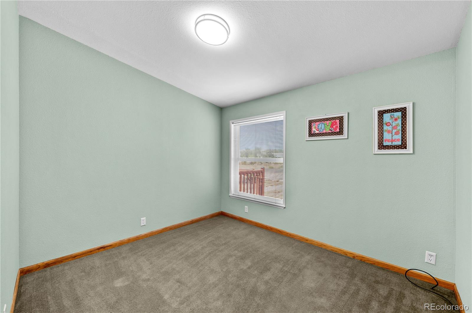 MLS Image #24 for 539  arizona street,buena vista, Colorado