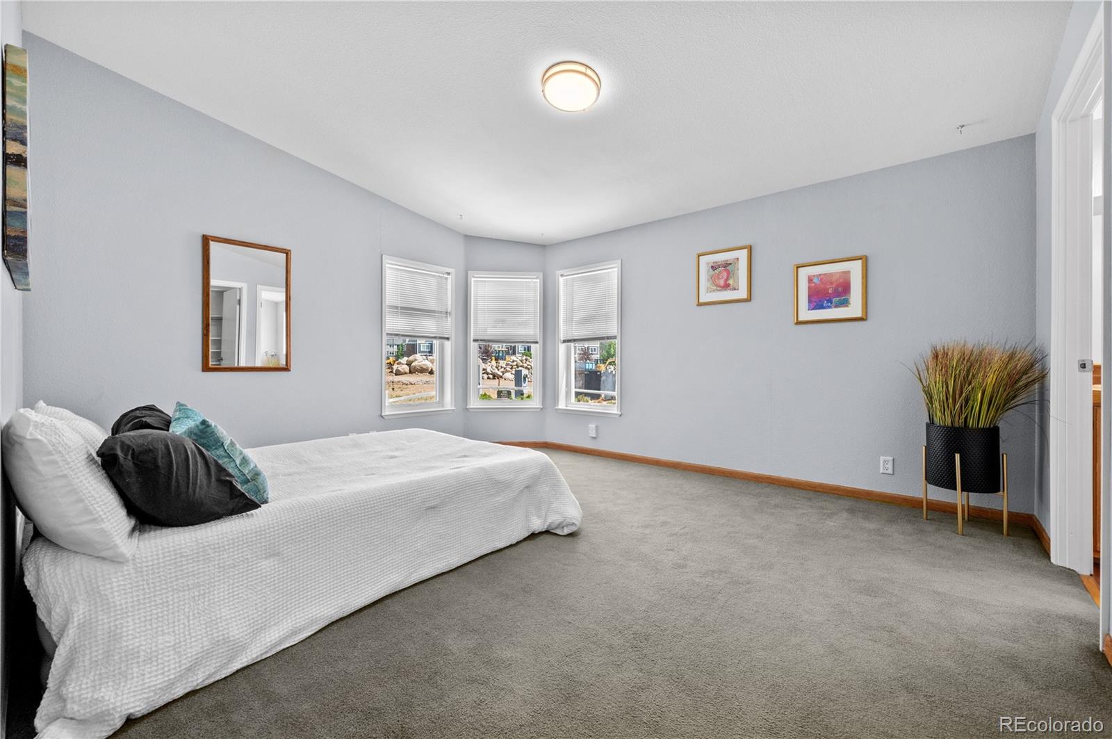 MLS Image #26 for 539  arizona street,buena vista, Colorado