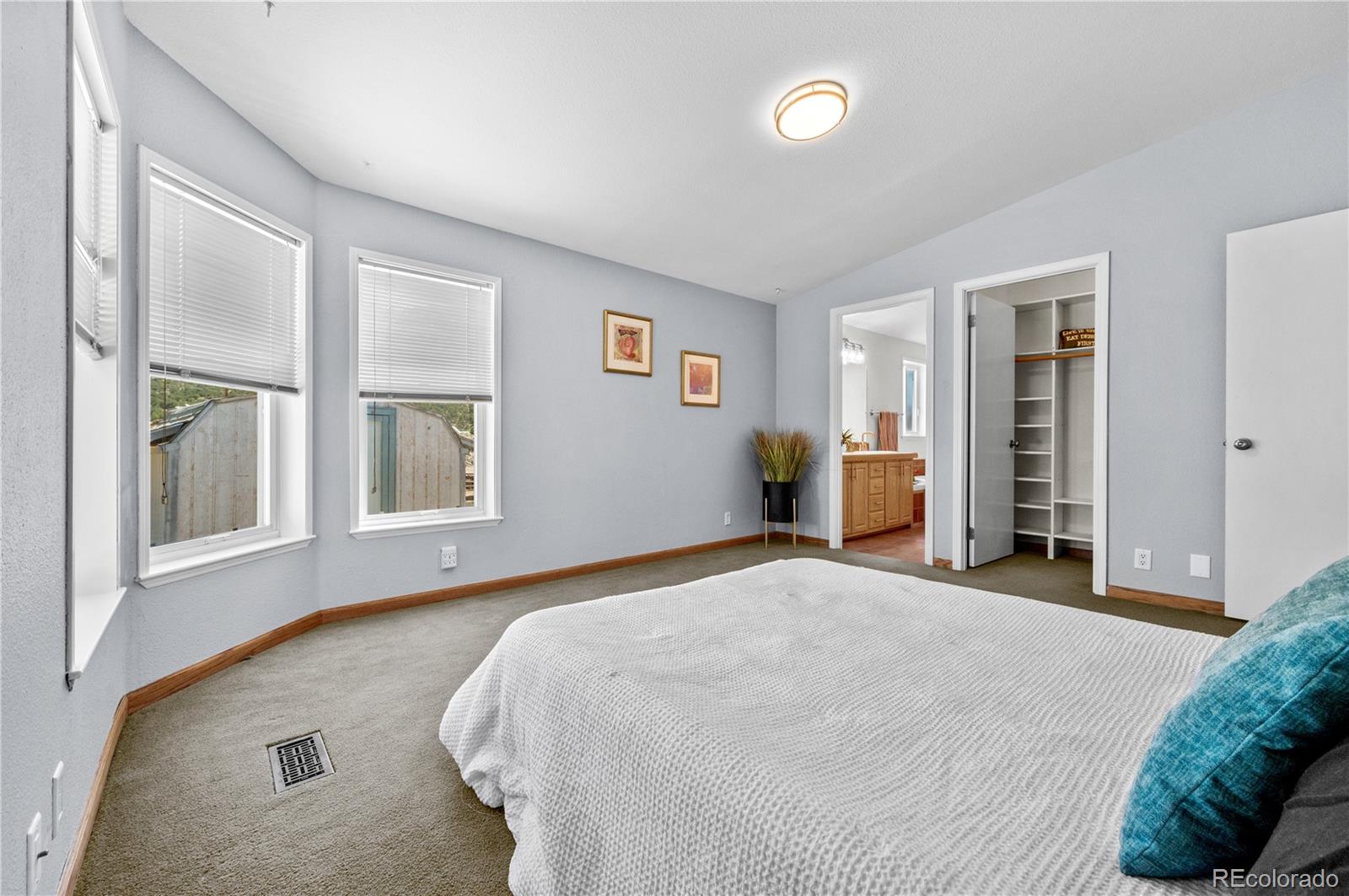 MLS Image #27 for 539  arizona street,buena vista, Colorado