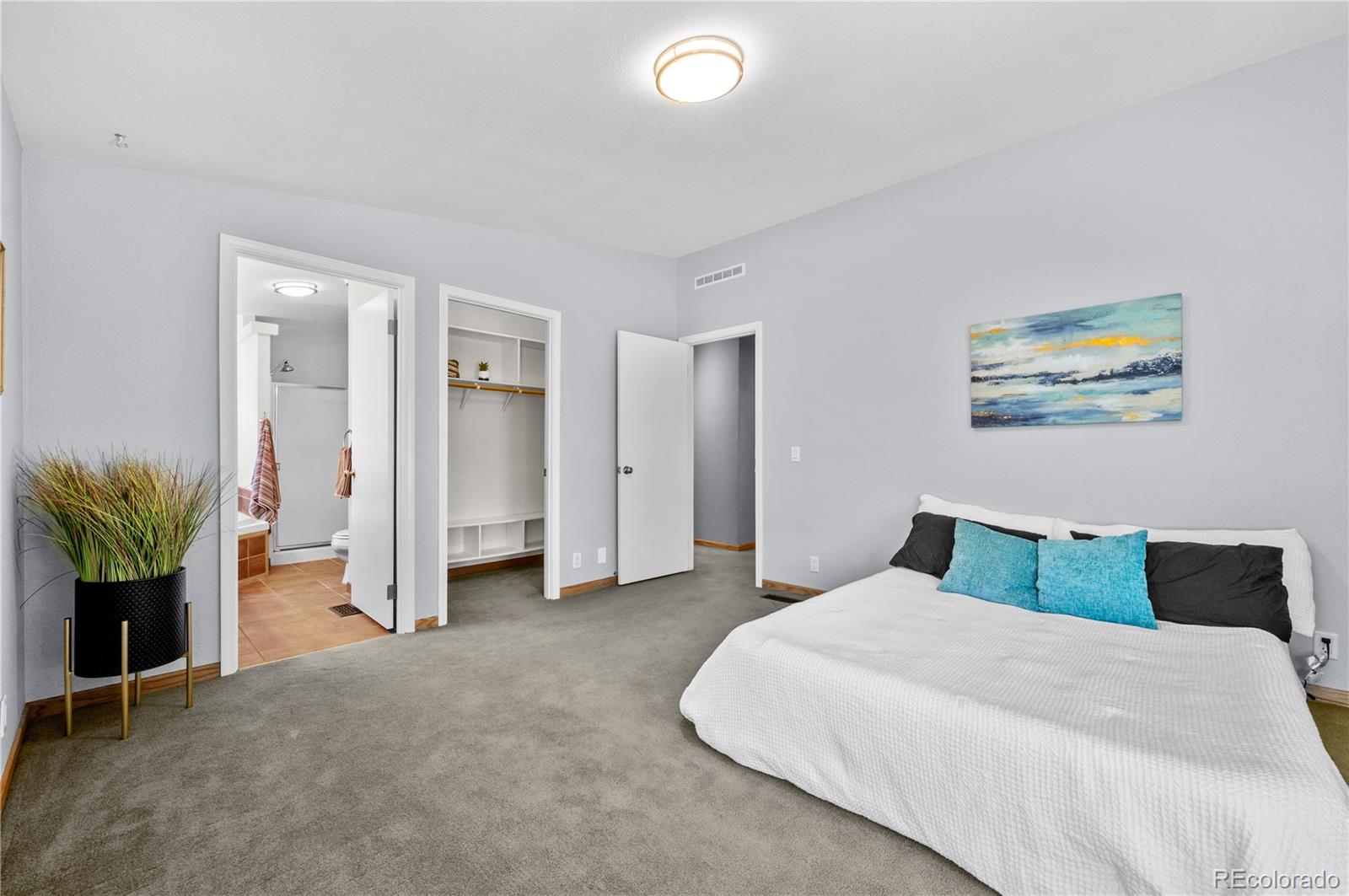 MLS Image #28 for 539  arizona street,buena vista, Colorado