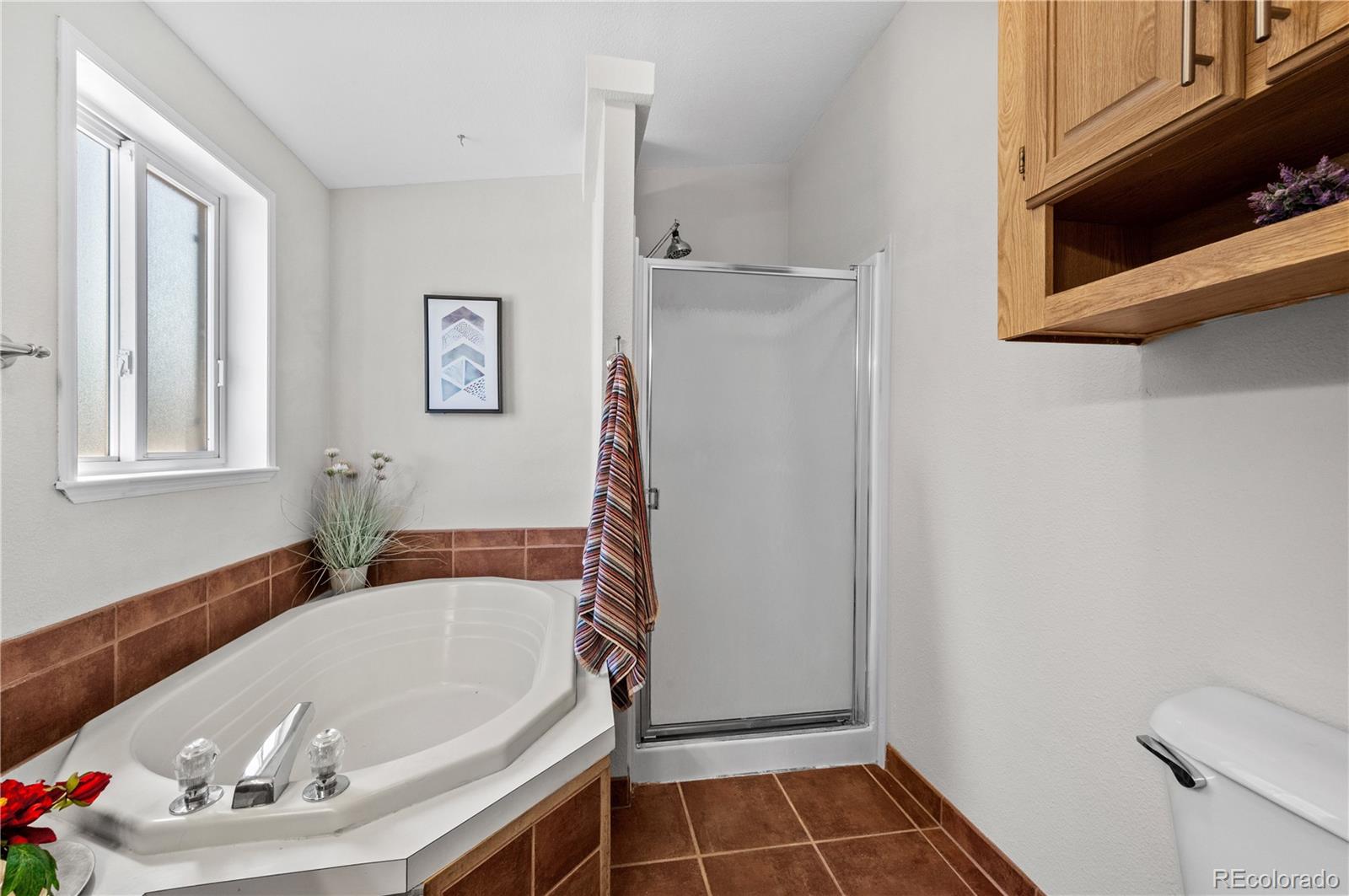 MLS Image #30 for 539  arizona street,buena vista, Colorado