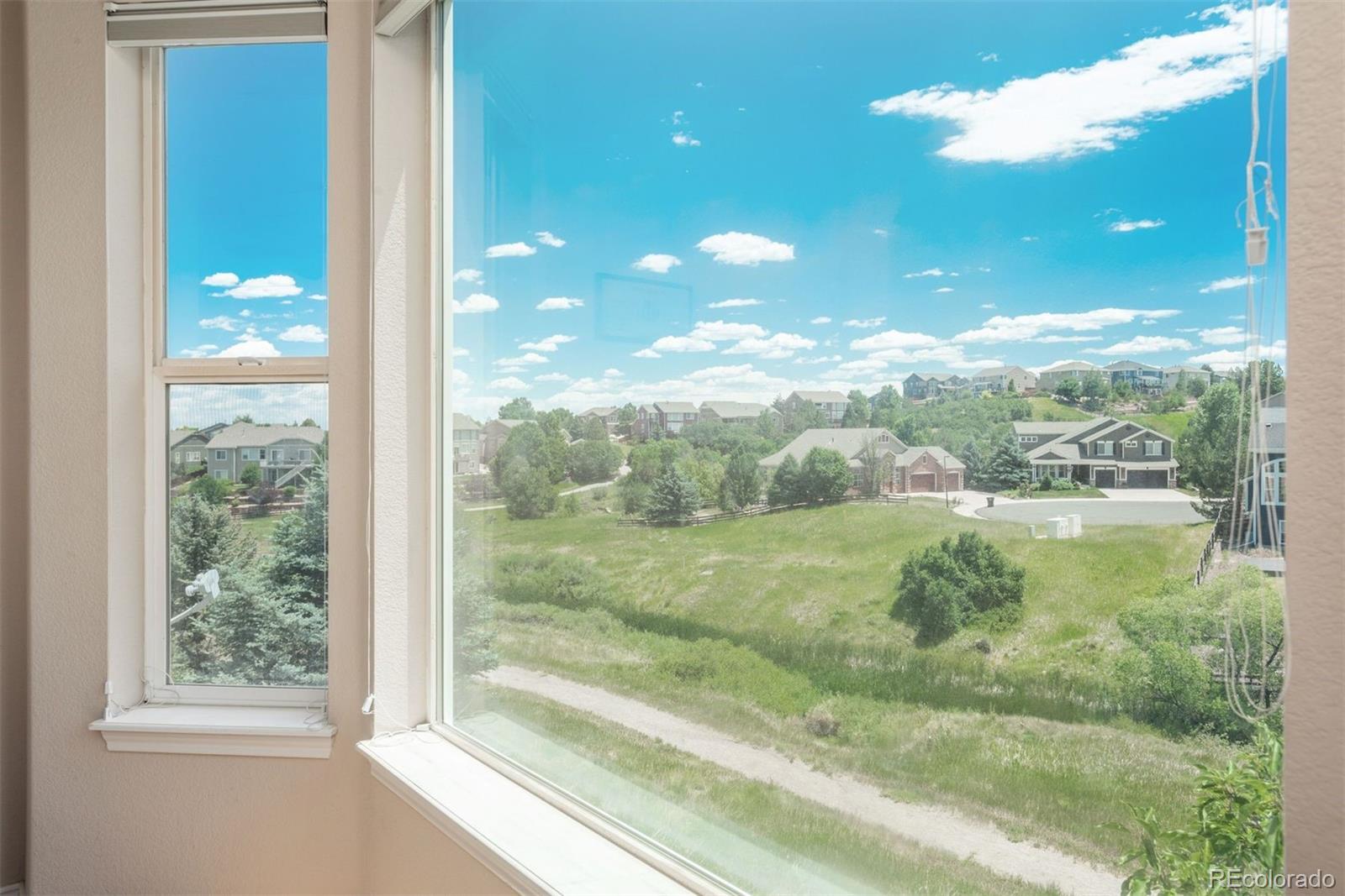 MLS Image #18 for 2105  baguette drive,castle rock, Colorado