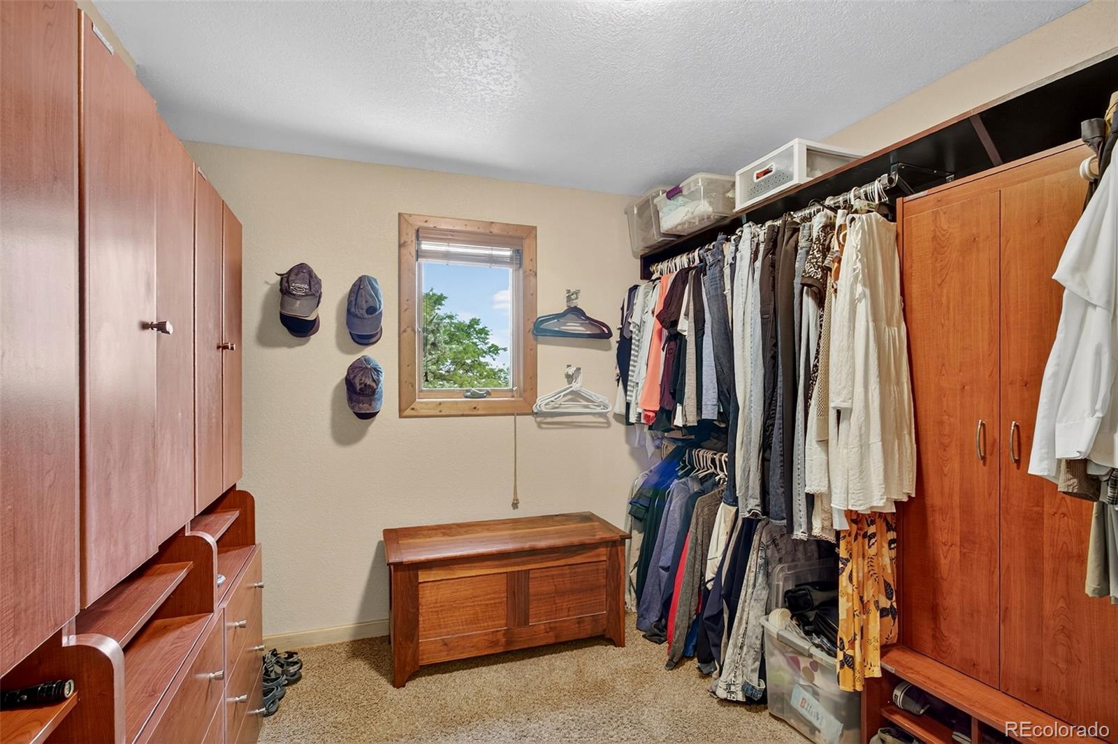 MLS Image #19 for 7908  beverly boulevard,castle pines, Colorado