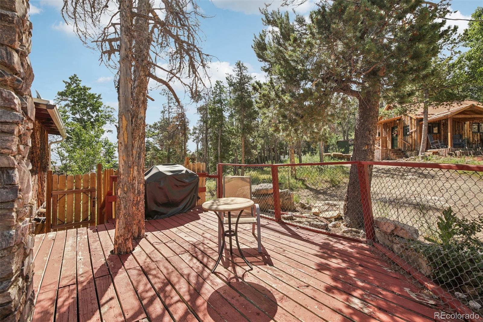 MLS Image #20 for 33436  coal creek canyon road,golden, Colorado