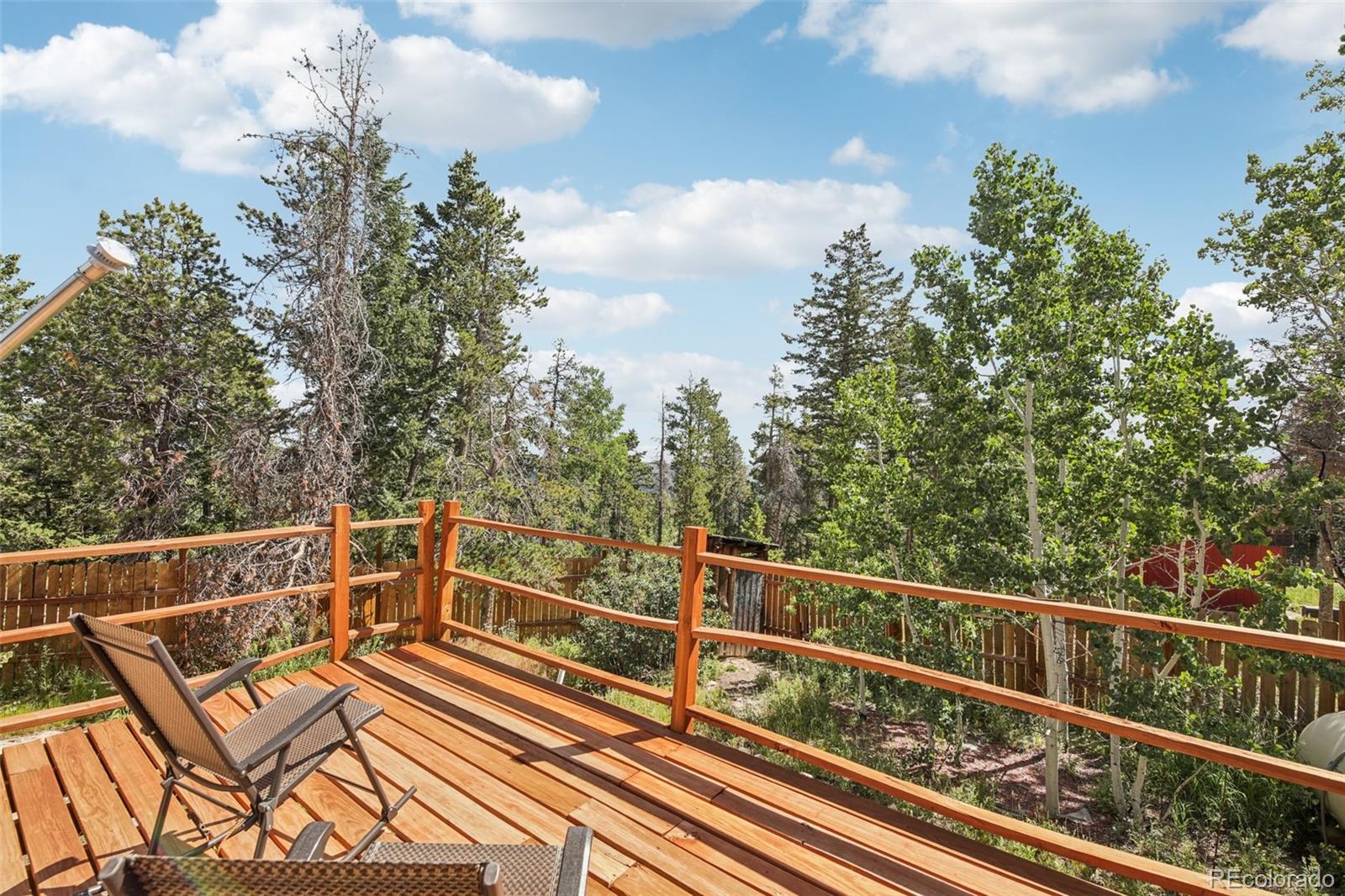 MLS Image #22 for 33436  coal creek canyon road,golden, Colorado
