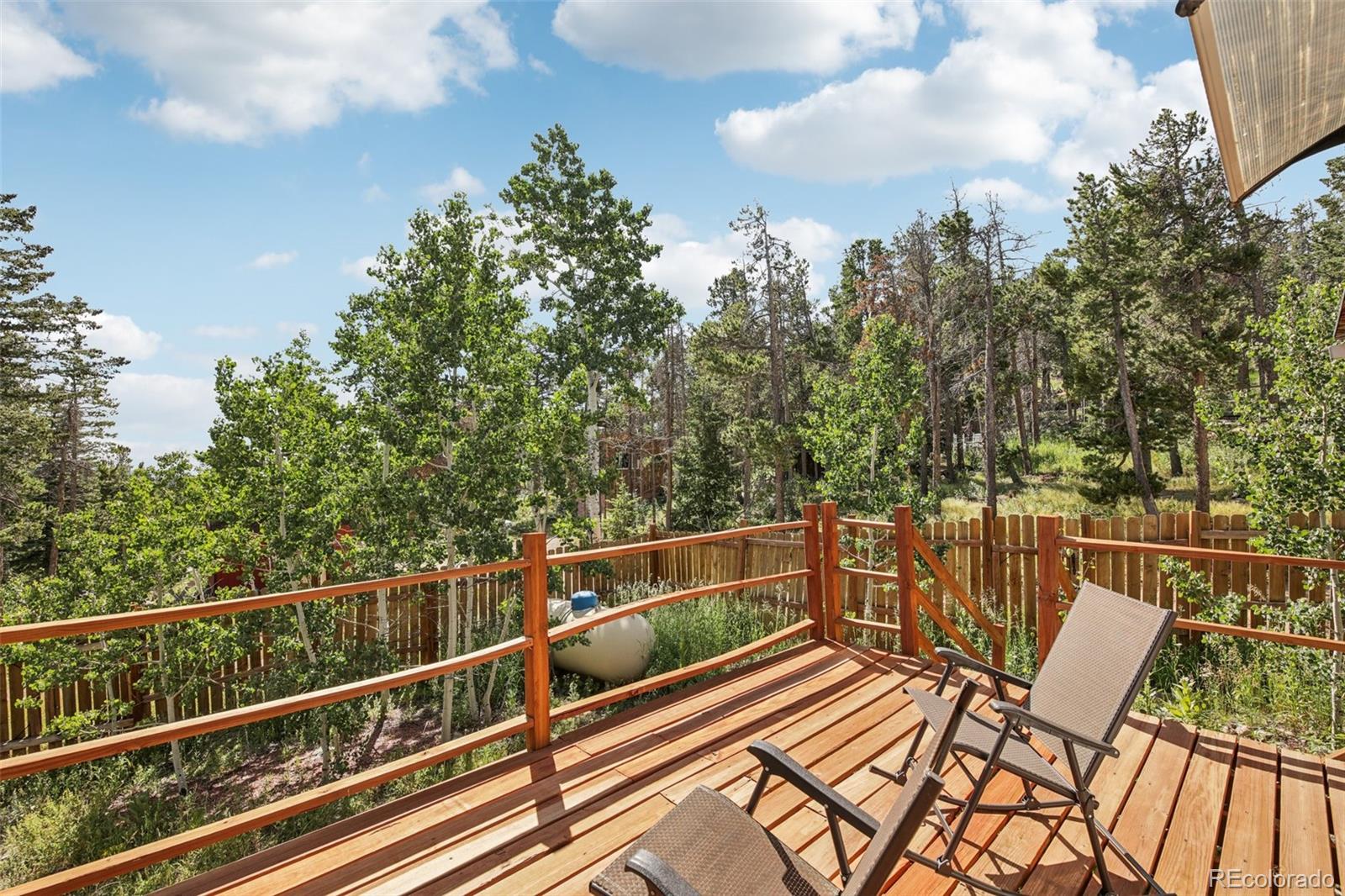 MLS Image #23 for 33436  coal creek canyon road,golden, Colorado