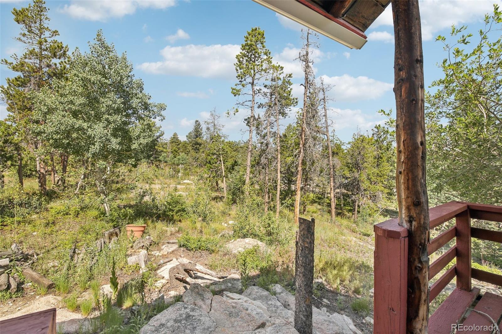 MLS Image #25 for 33436  coal creek canyon road,golden, Colorado