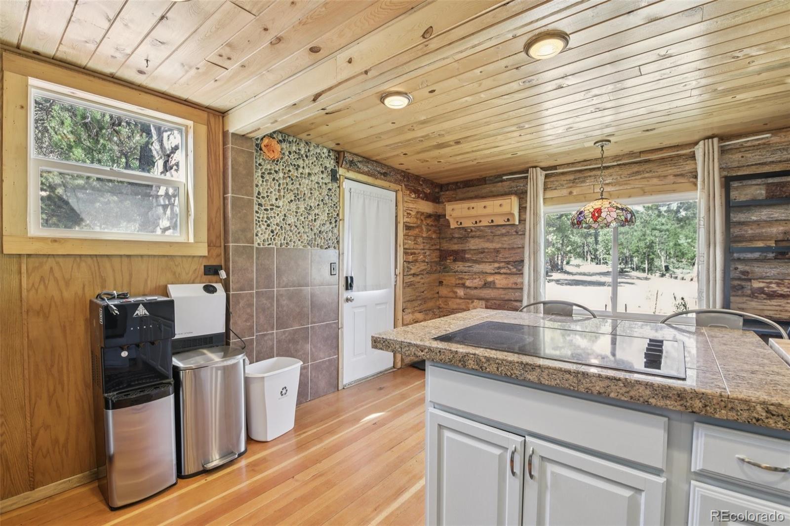 MLS Image #9 for 33436  coal creek canyon road,golden, Colorado