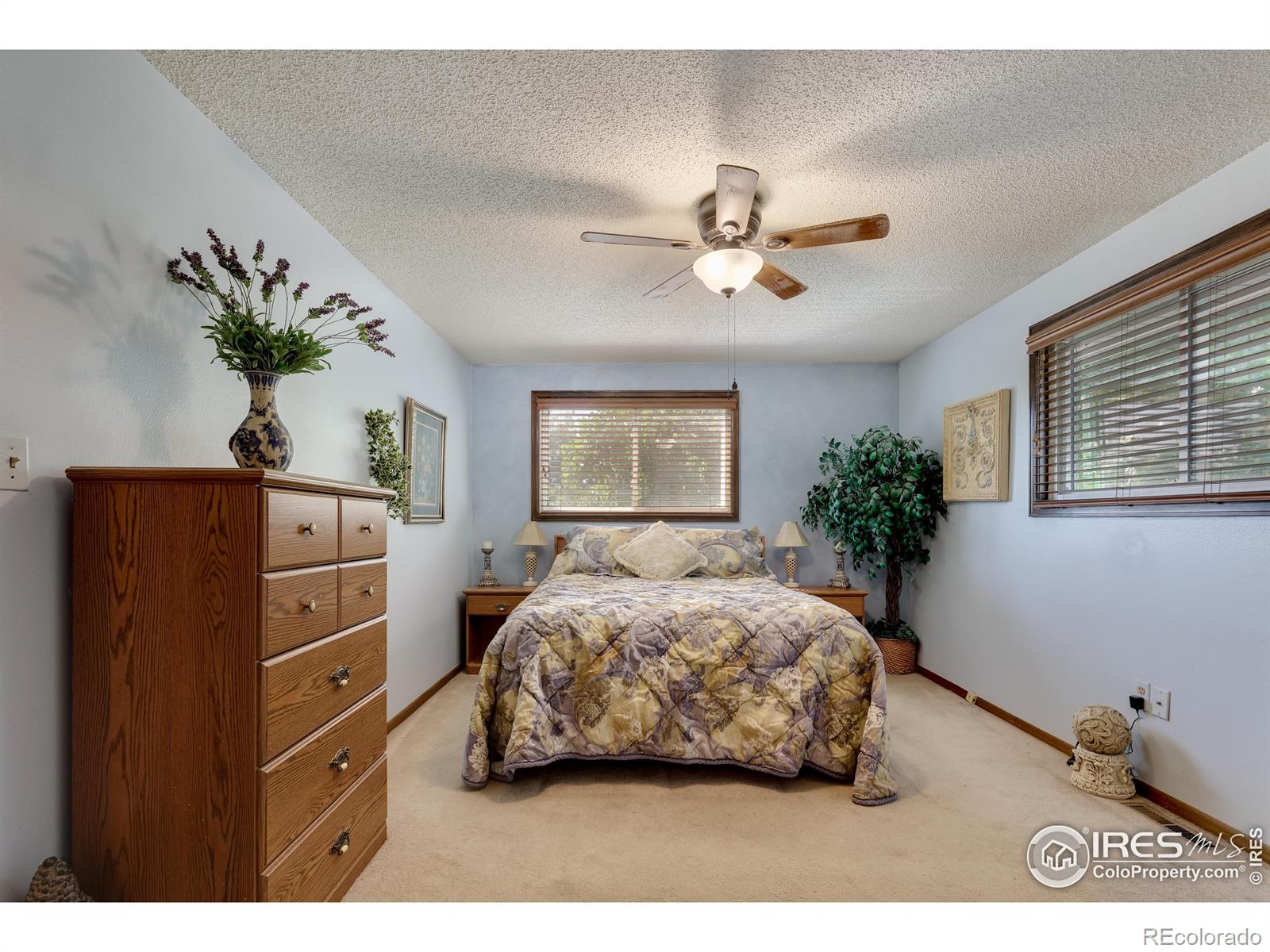 MLS Image #14 for 2467  farisita drive,loveland, Colorado