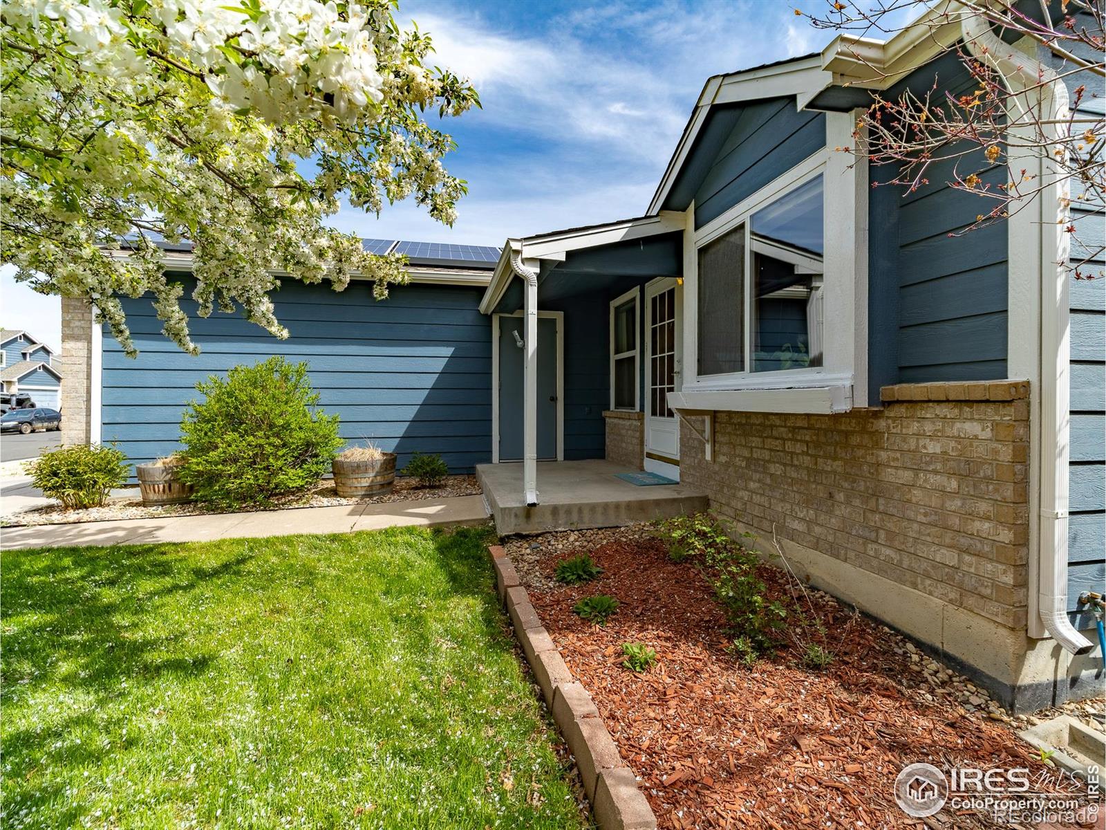 MLS Image #2 for 13146  raritan court,denver, Colorado