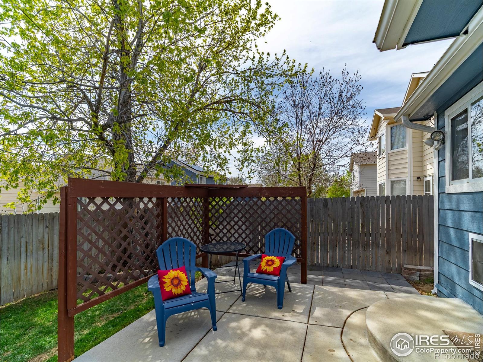MLS Image #38 for 13146  raritan court,denver, Colorado