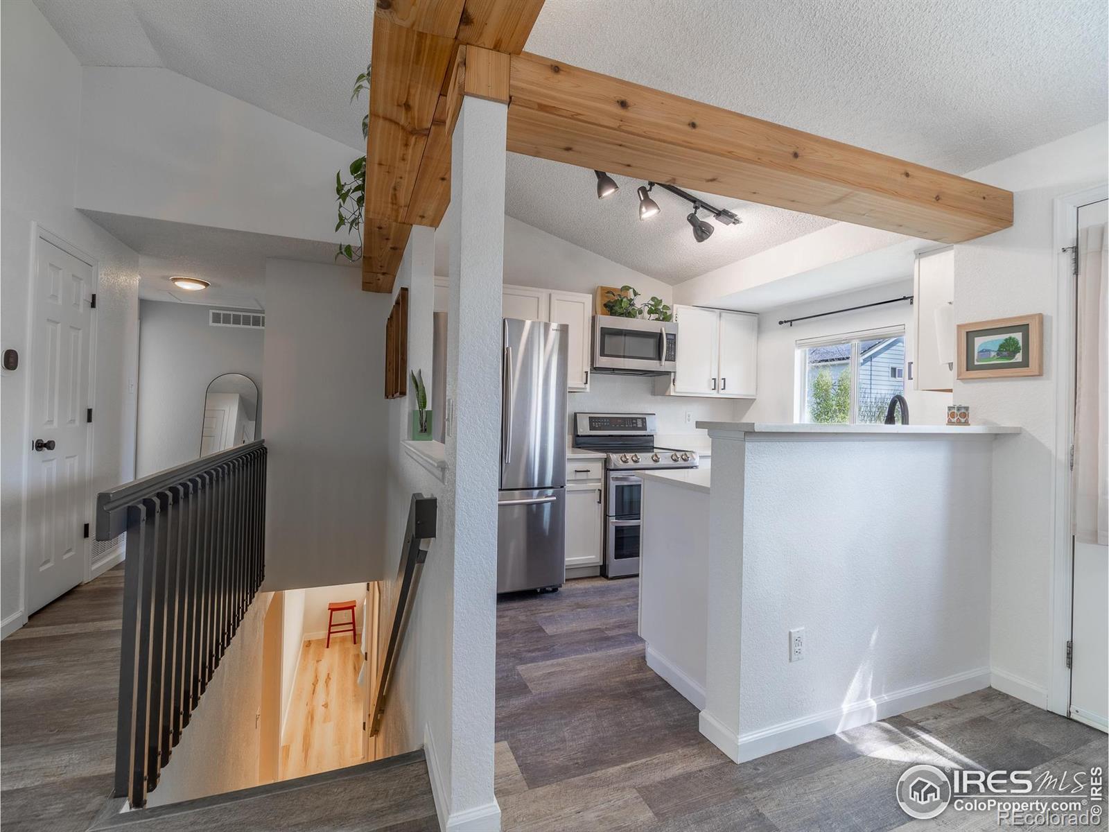 MLS Image #9 for 13146  raritan court,denver, Colorado