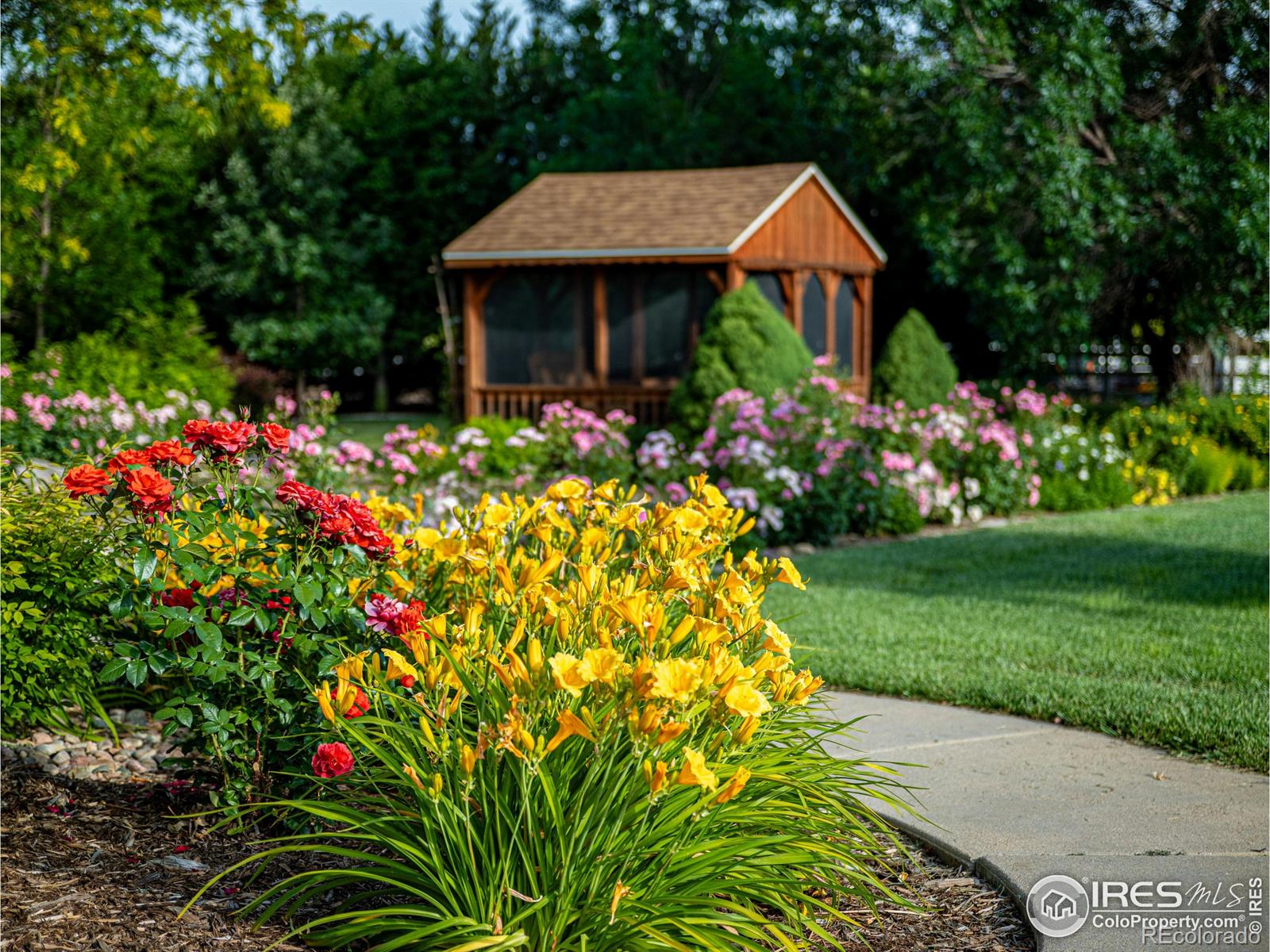 MLS Image #1 for 920  palomino way,windsor, Colorado