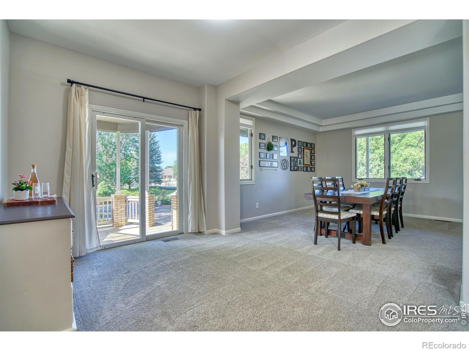 MLS Image #12 for 920  palomino way,windsor, Colorado