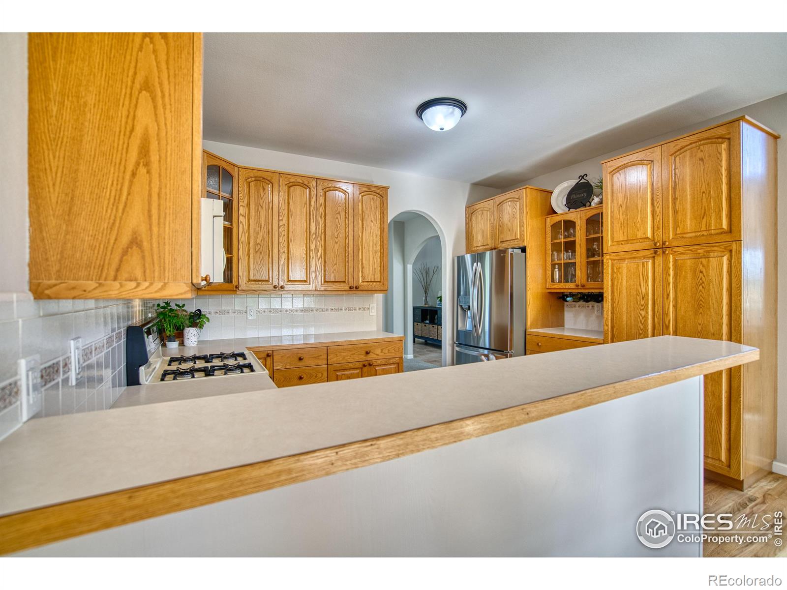 MLS Image #14 for 920  palomino way,windsor, Colorado