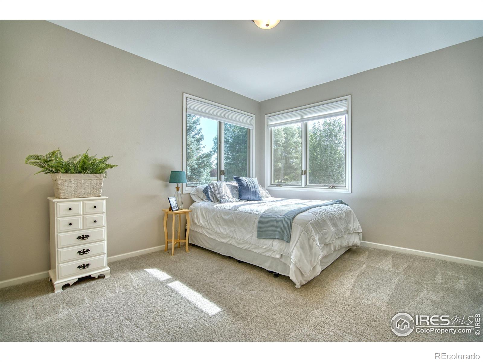 MLS Image #17 for 920  palomino way,windsor, Colorado