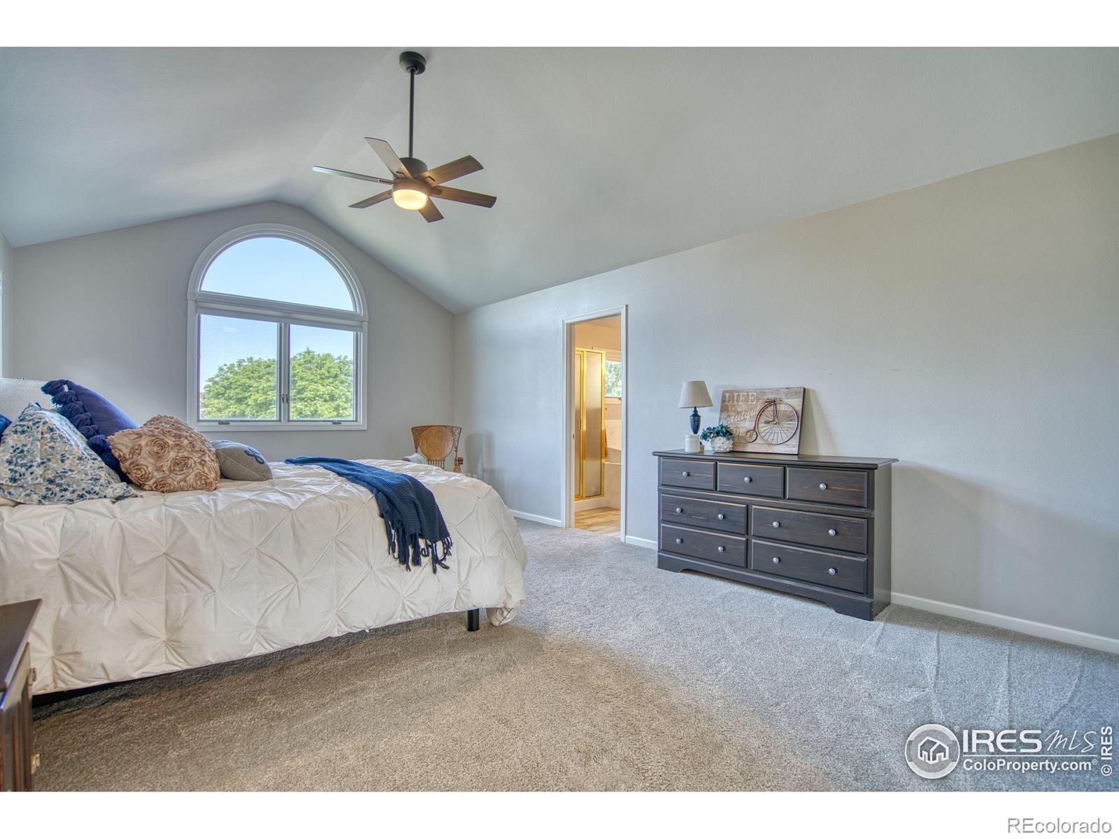 MLS Image #22 for 920  palomino way,windsor, Colorado