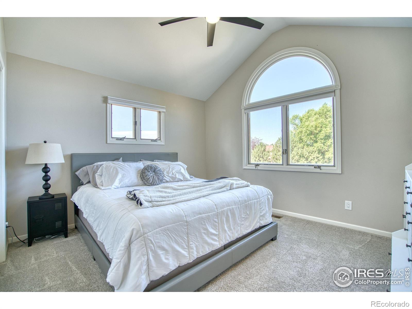 MLS Image #24 for 920  palomino way,windsor, Colorado