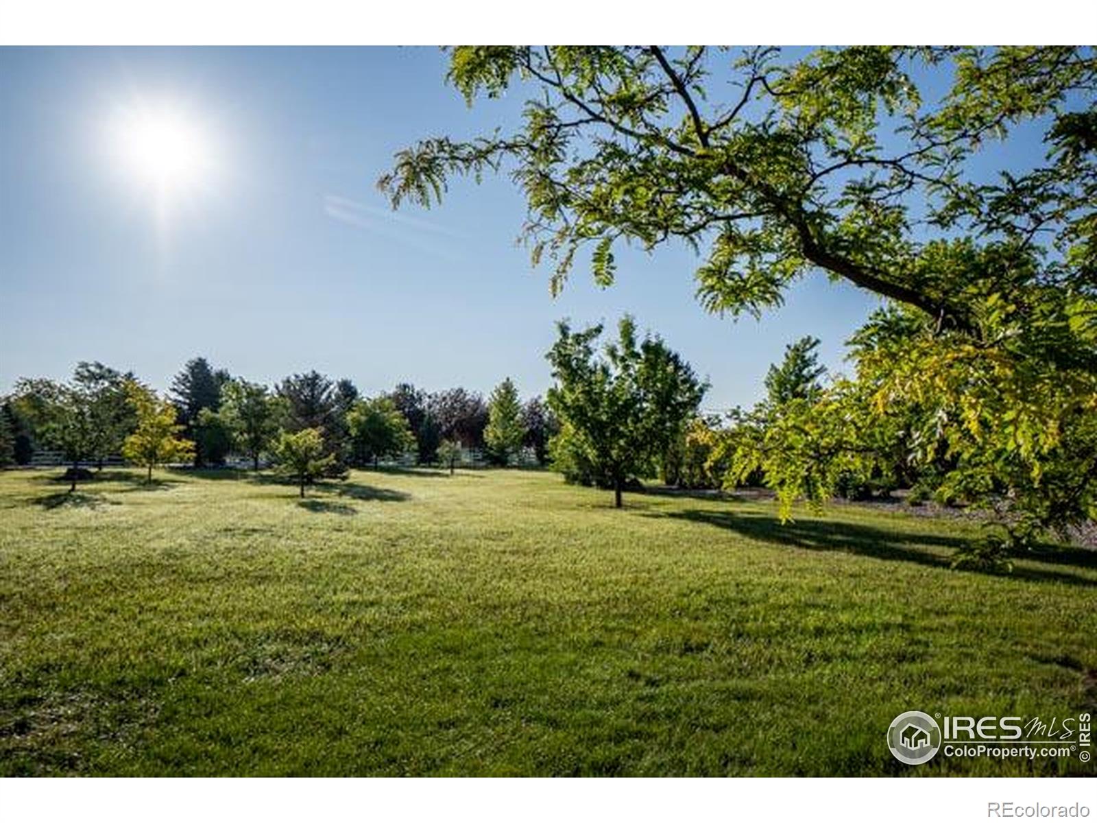 MLS Image #34 for 920  palomino way,windsor, Colorado