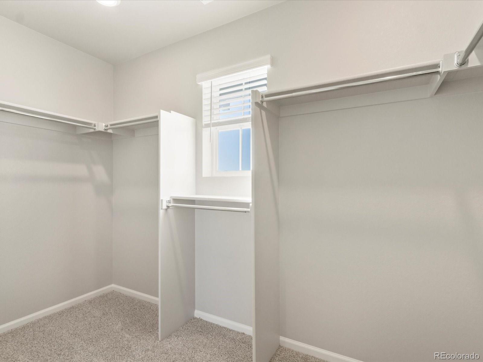 MLS Image #26 for 1027  odessa lake road,severance, Colorado