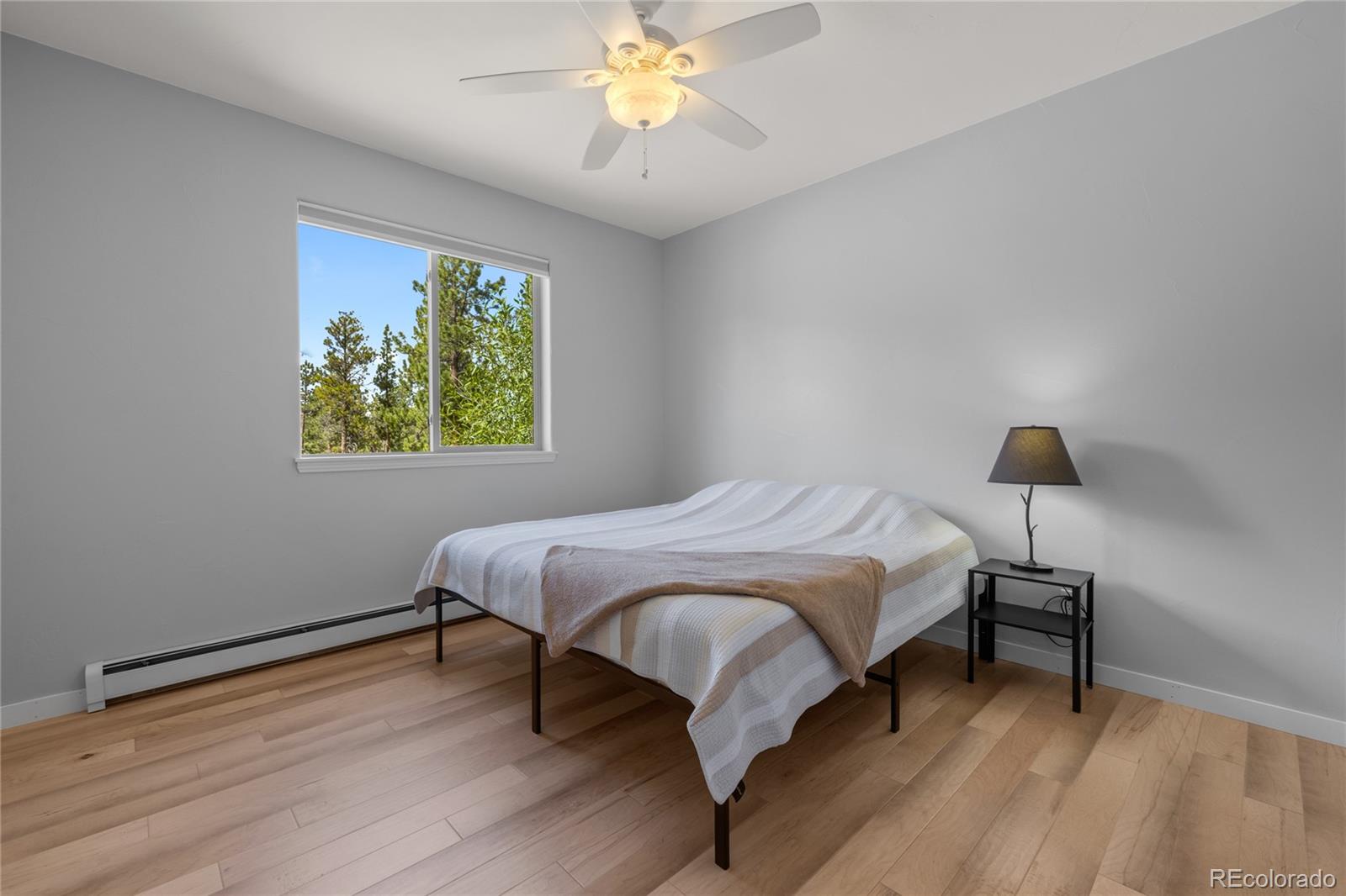 MLS Image #25 for 16500  pine grove parkway,buena vista, Colorado