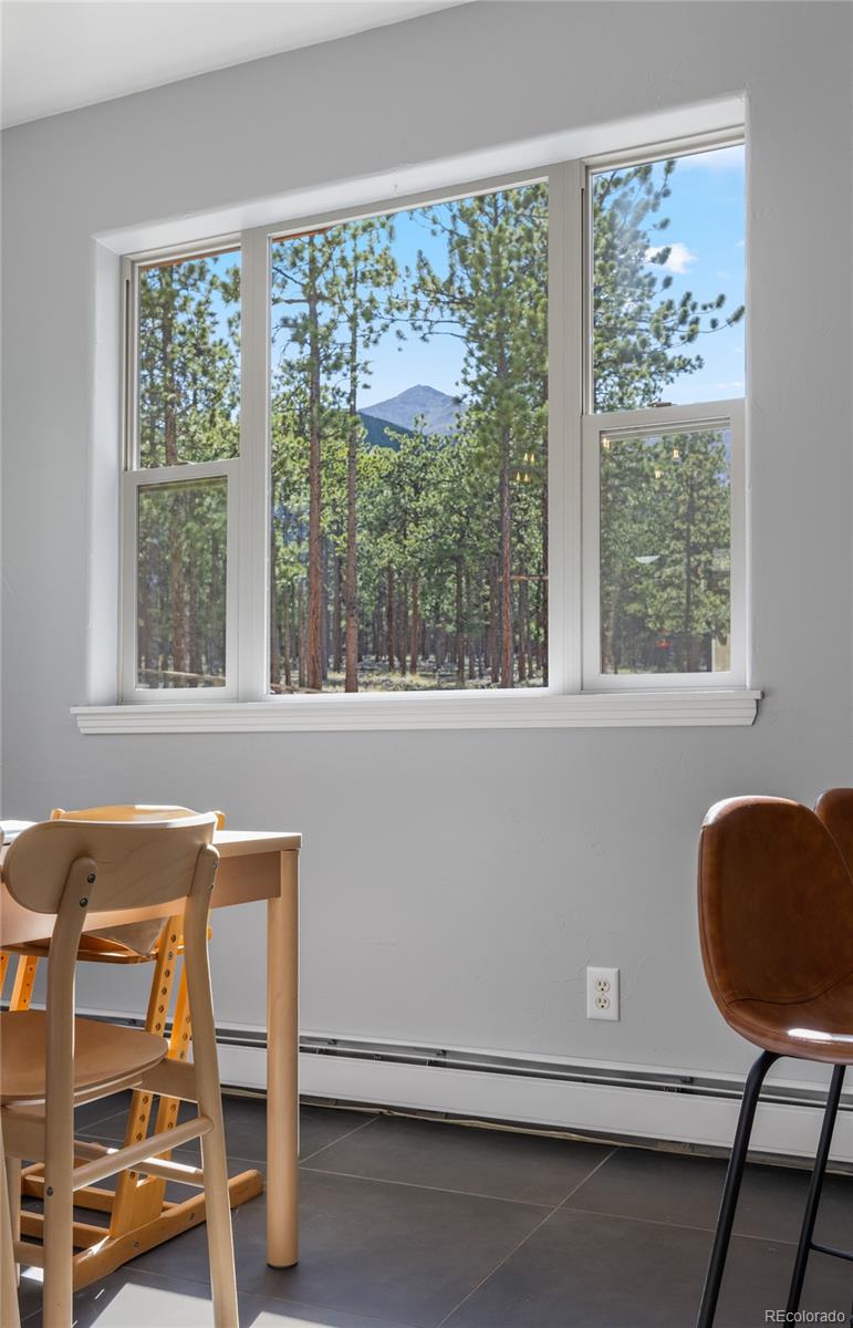 MLS Image #36 for 16500  pine grove parkway,buena vista, Colorado