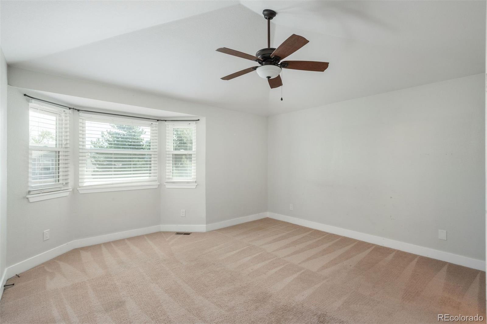 MLS Image #14 for 5303 e courtney avenue,castle rock, Colorado