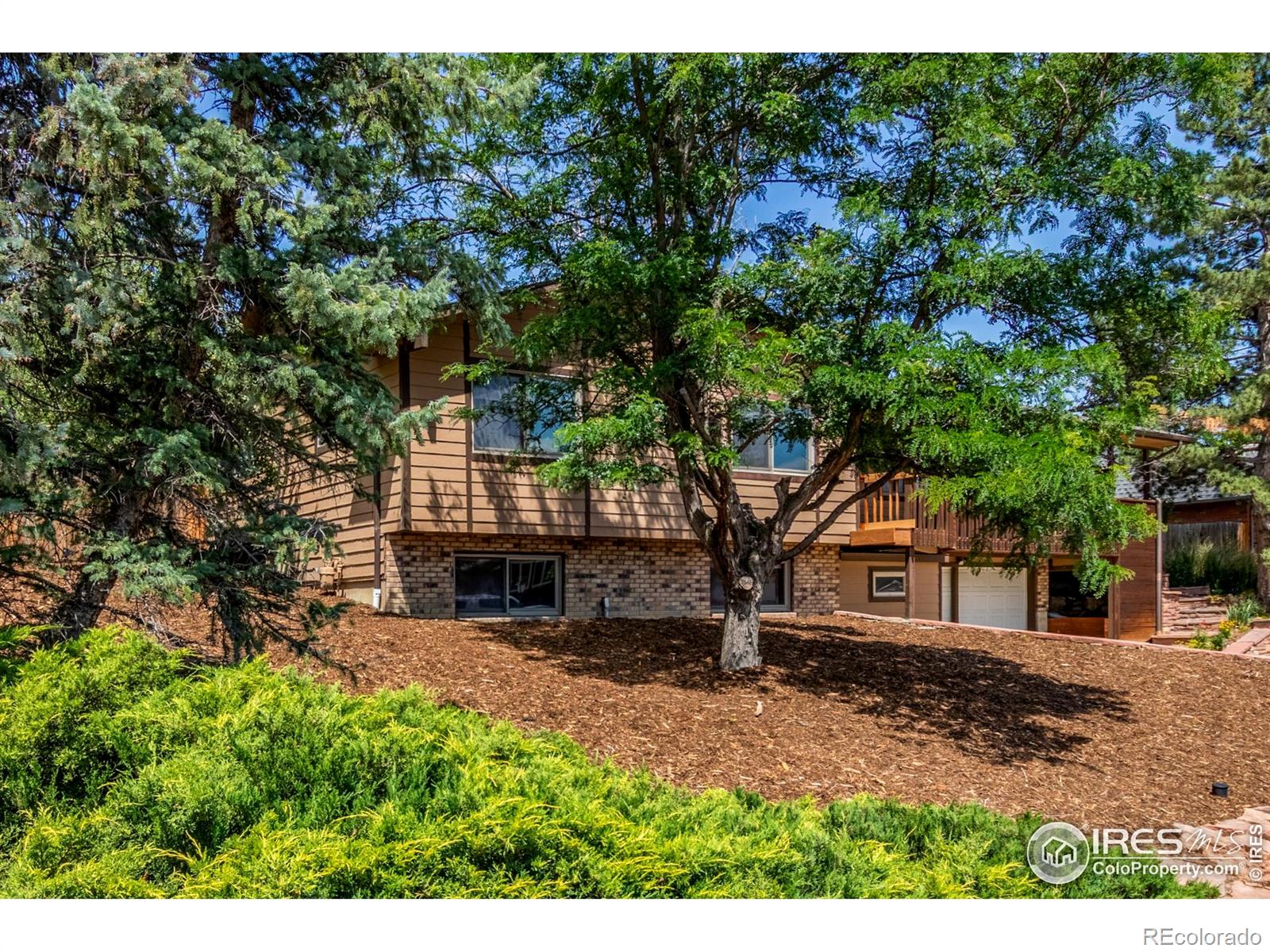 MLS Image #3 for 1148  purdue drive,longmont, Colorado