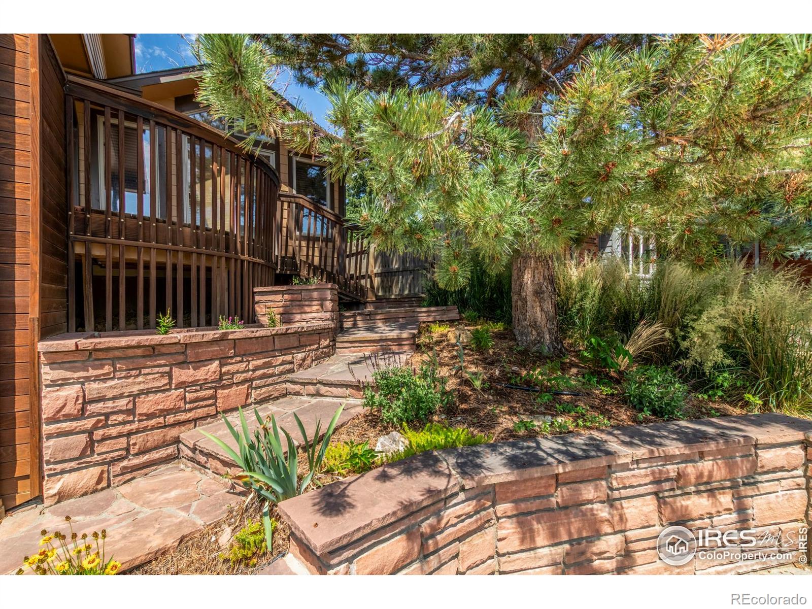MLS Image #6 for 1148  purdue drive,longmont, Colorado
