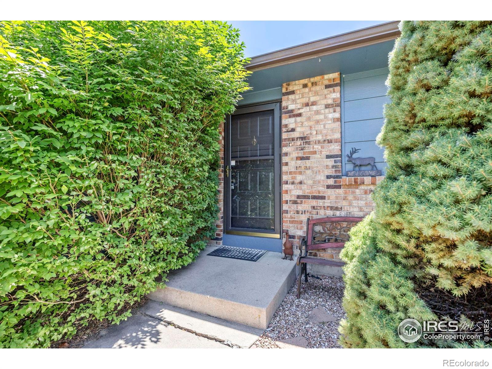 MLS Image #3 for 729  parkview mountain drive,windsor, Colorado