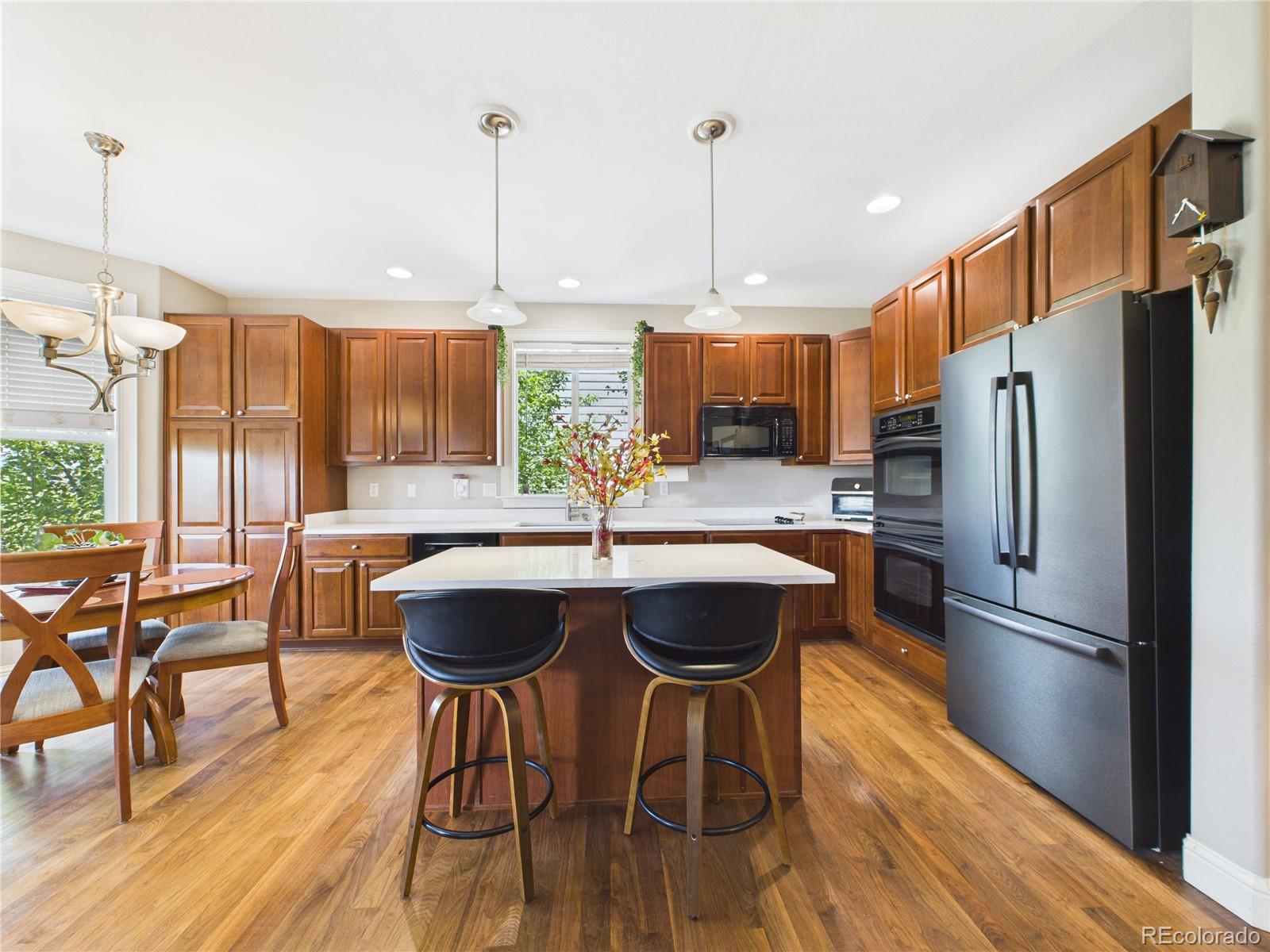 MLS Image #17 for 10497  wagon box circle,highlands ranch, Colorado