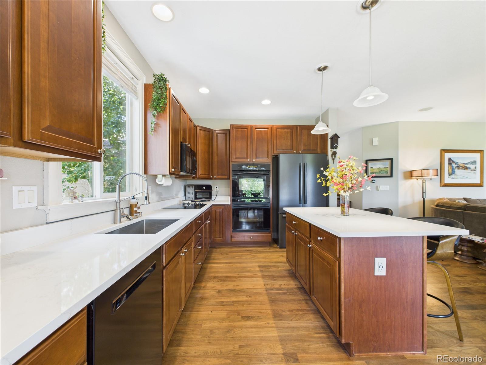 MLS Image #19 for 10497  wagon box circle,highlands ranch, Colorado