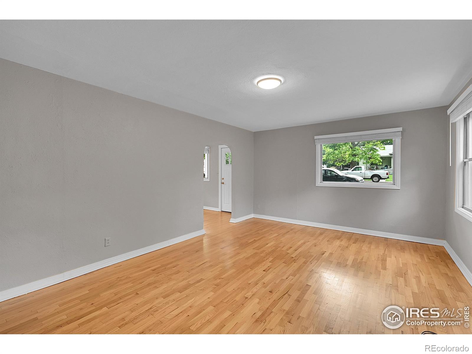 MLS Image #6 for 746  sumner street,longmont, Colorado