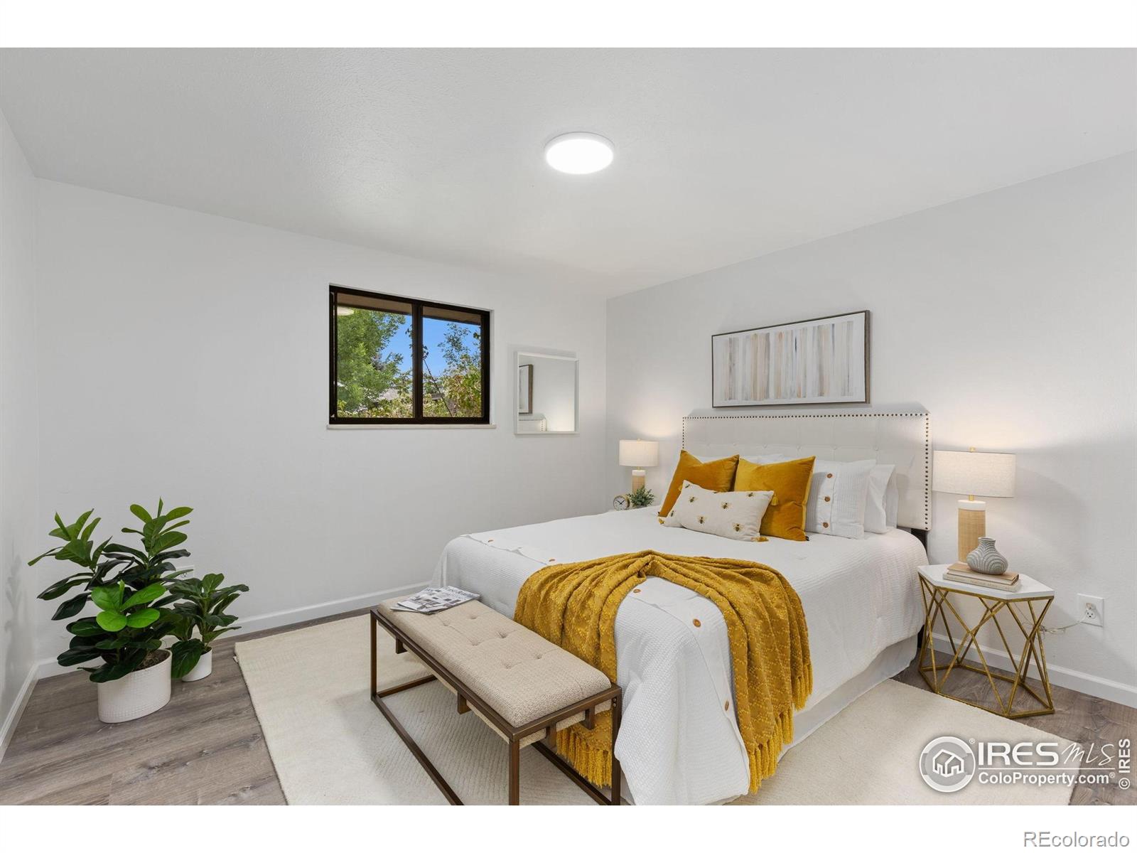 MLS Image #10 for 530  mount evans street,longmont, Colorado