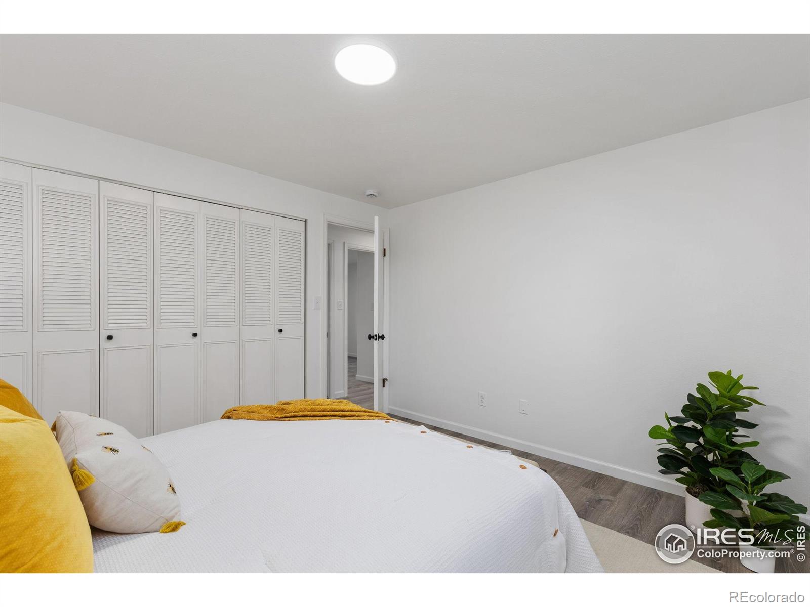 MLS Image #11 for 530  mount evans street,longmont, Colorado
