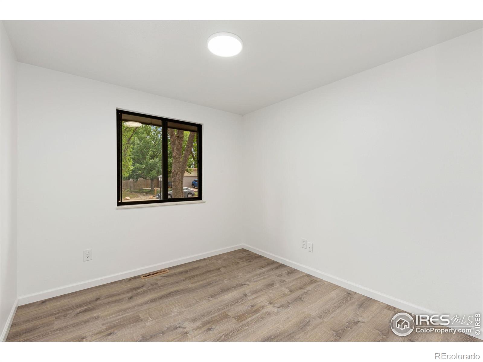 MLS Image #13 for 530  mount evans street,longmont, Colorado