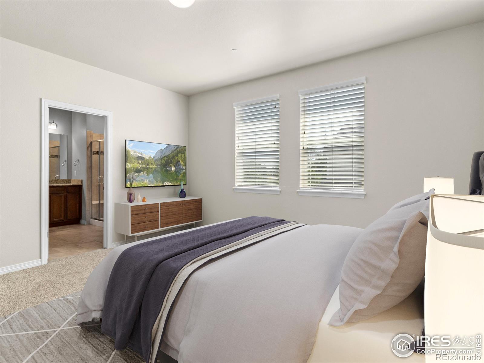 MLS Image #12 for 3038  county fair lane,fort collins, Colorado