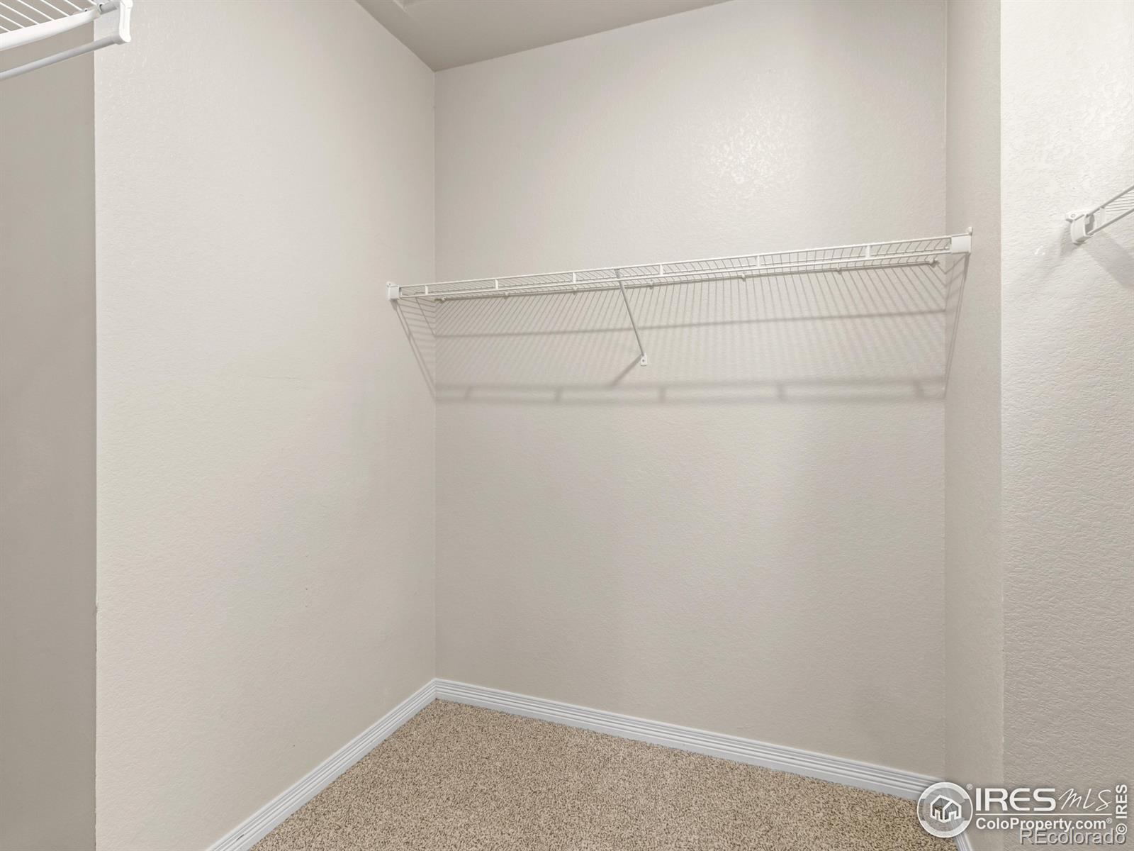 MLS Image #19 for 3038  county fair lane,fort collins, Colorado