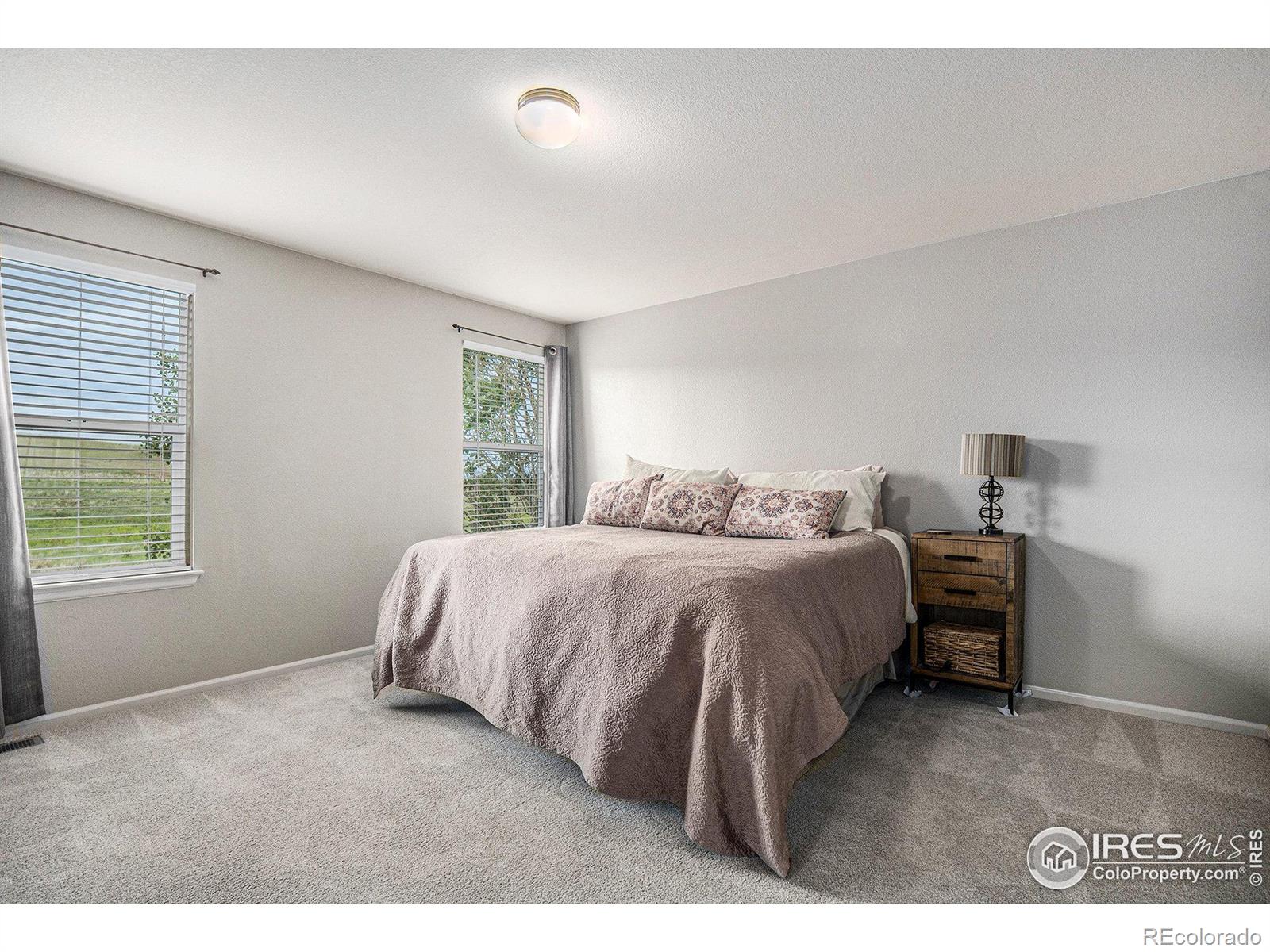 MLS Image #19 for 828  lehigh circle,erie, Colorado