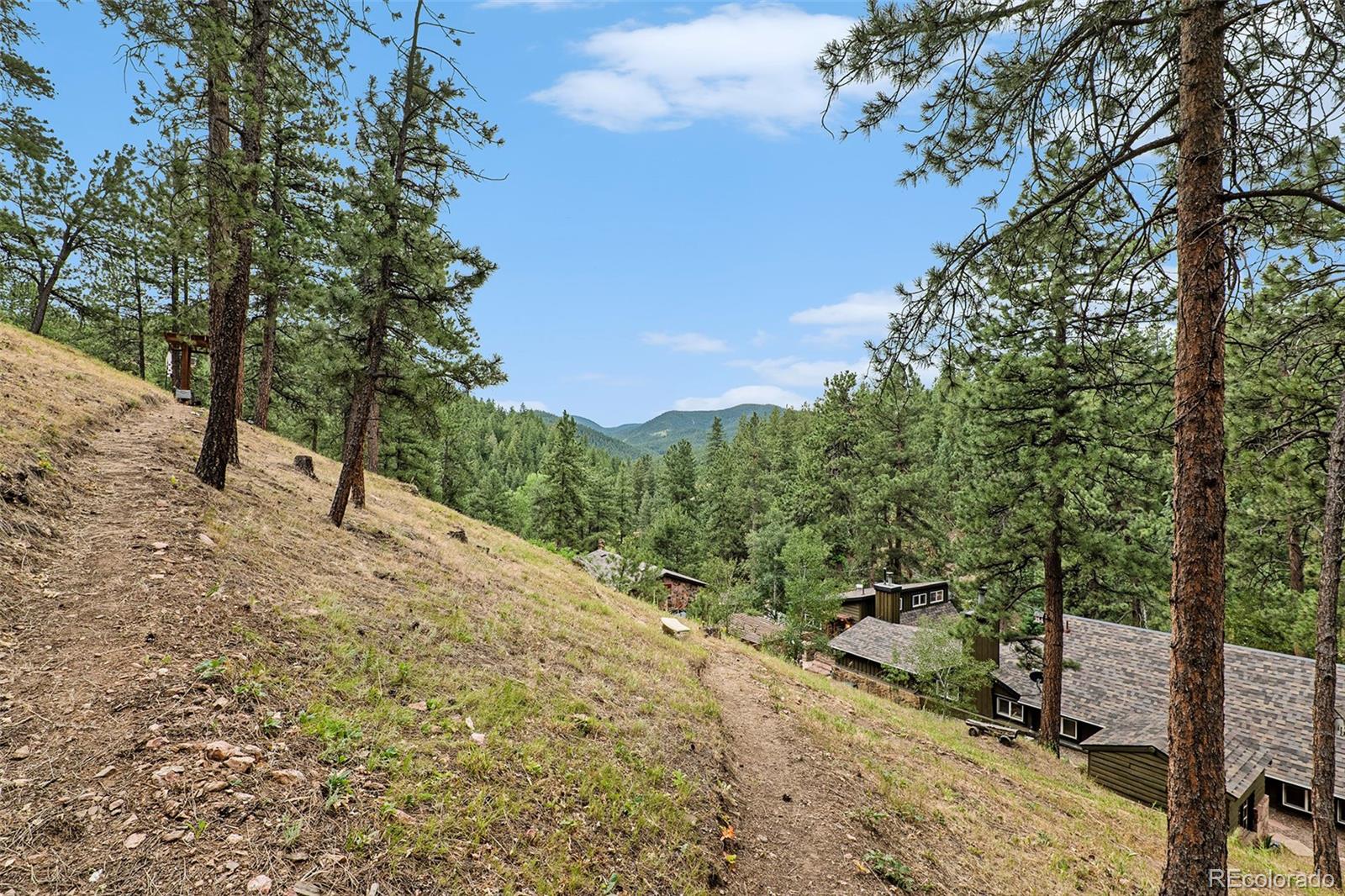 MLS Image #21 for 9236 s mica mine gulch road,littleton, Colorado