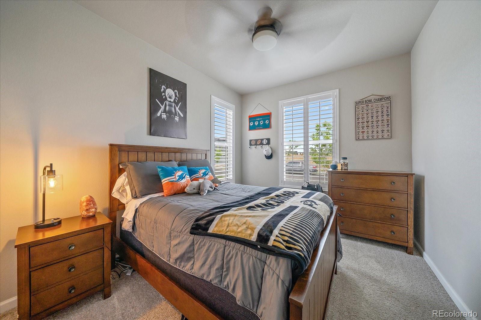 MLS Image #18 for 8908  birch run lane,parker, Colorado