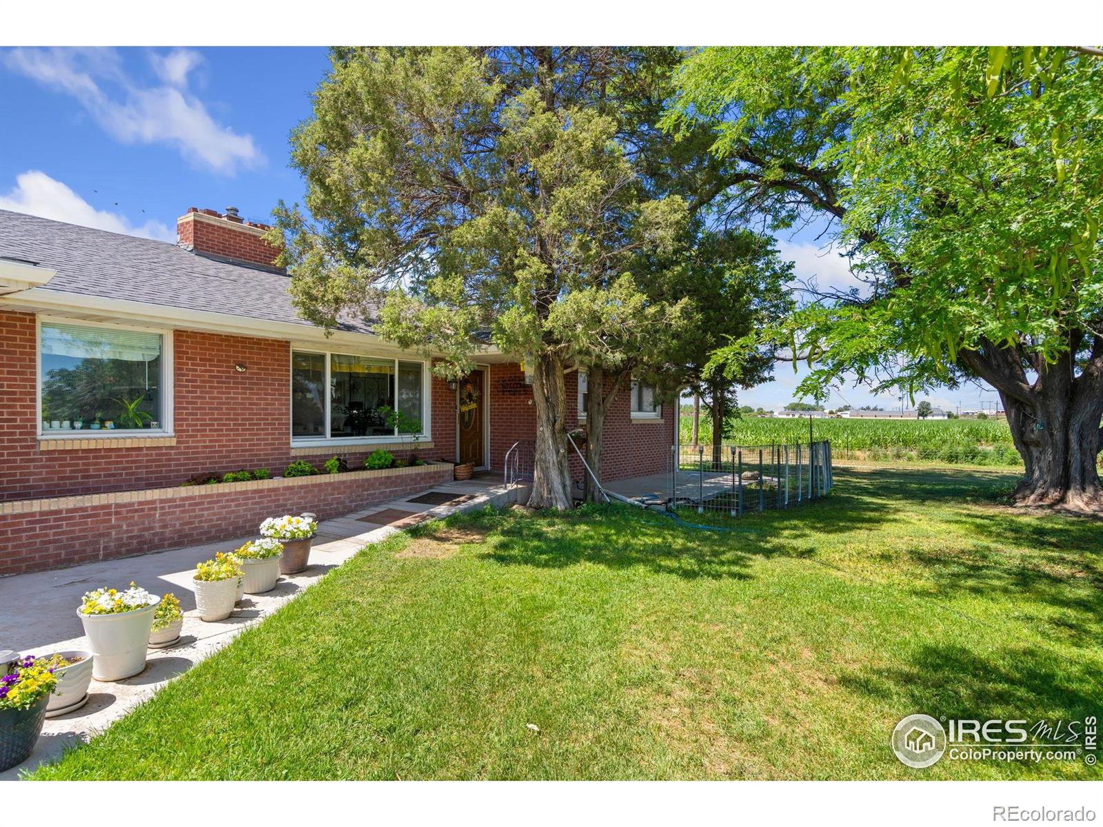 MLS Image #2 for 24250  county road 60 1/2 ,greeley, Colorado