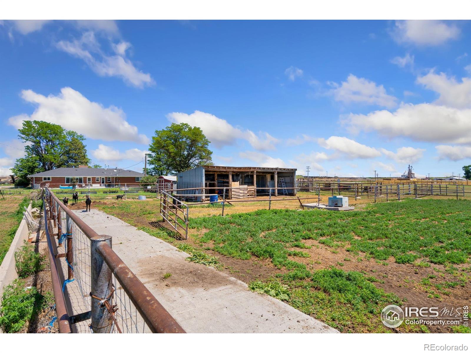 MLS Image #29 for 24250  county road 60 1/2 ,greeley, Colorado