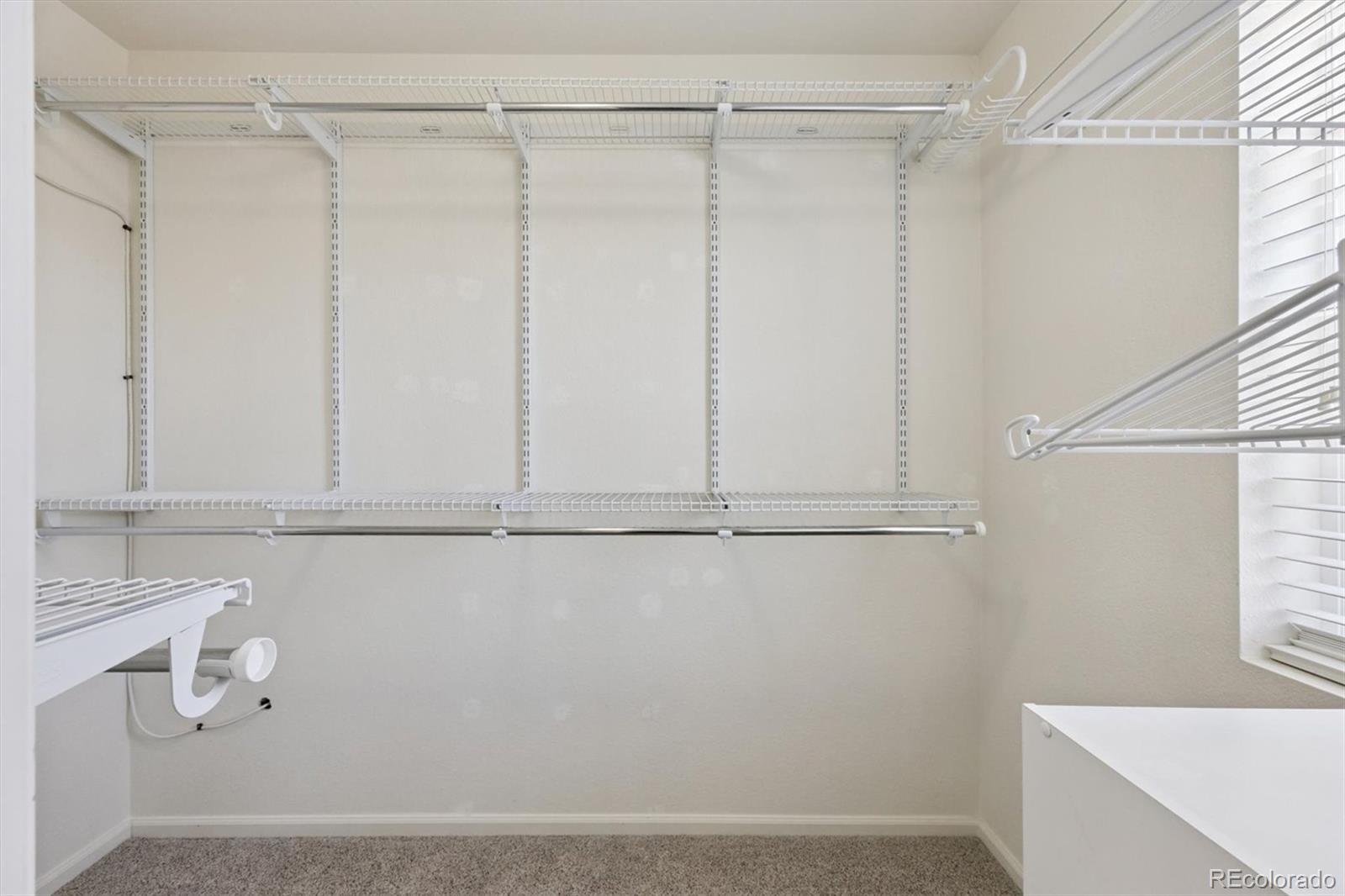 MLS Image #13 for 1753  hogan court,castle rock, Colorado
