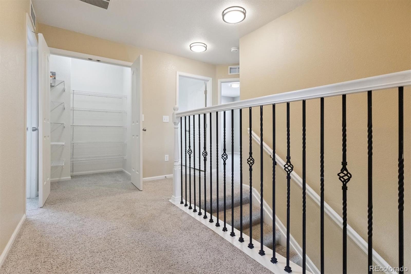MLS Image #19 for 1753  hogan court,castle rock, Colorado