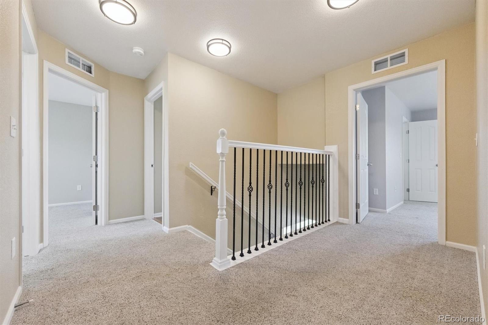 MLS Image #20 for 1753  hogan court,castle rock, Colorado