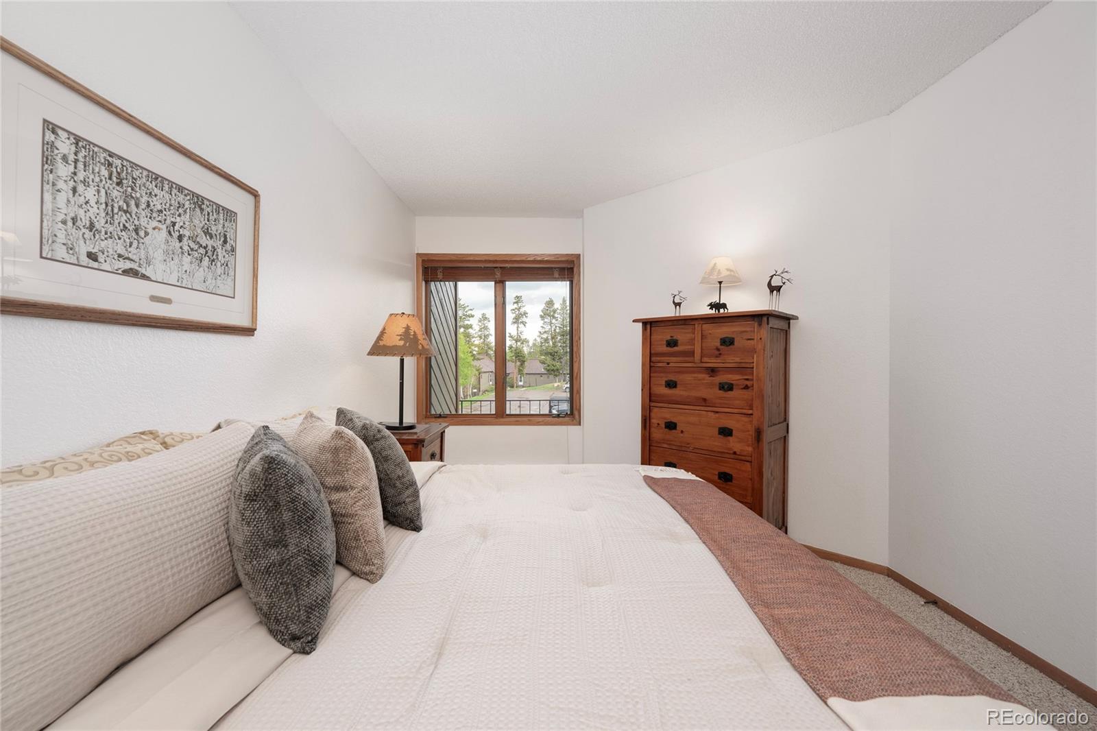 MLS Image #16 for 905  gcr 834 a-6 ,fraser, Colorado
