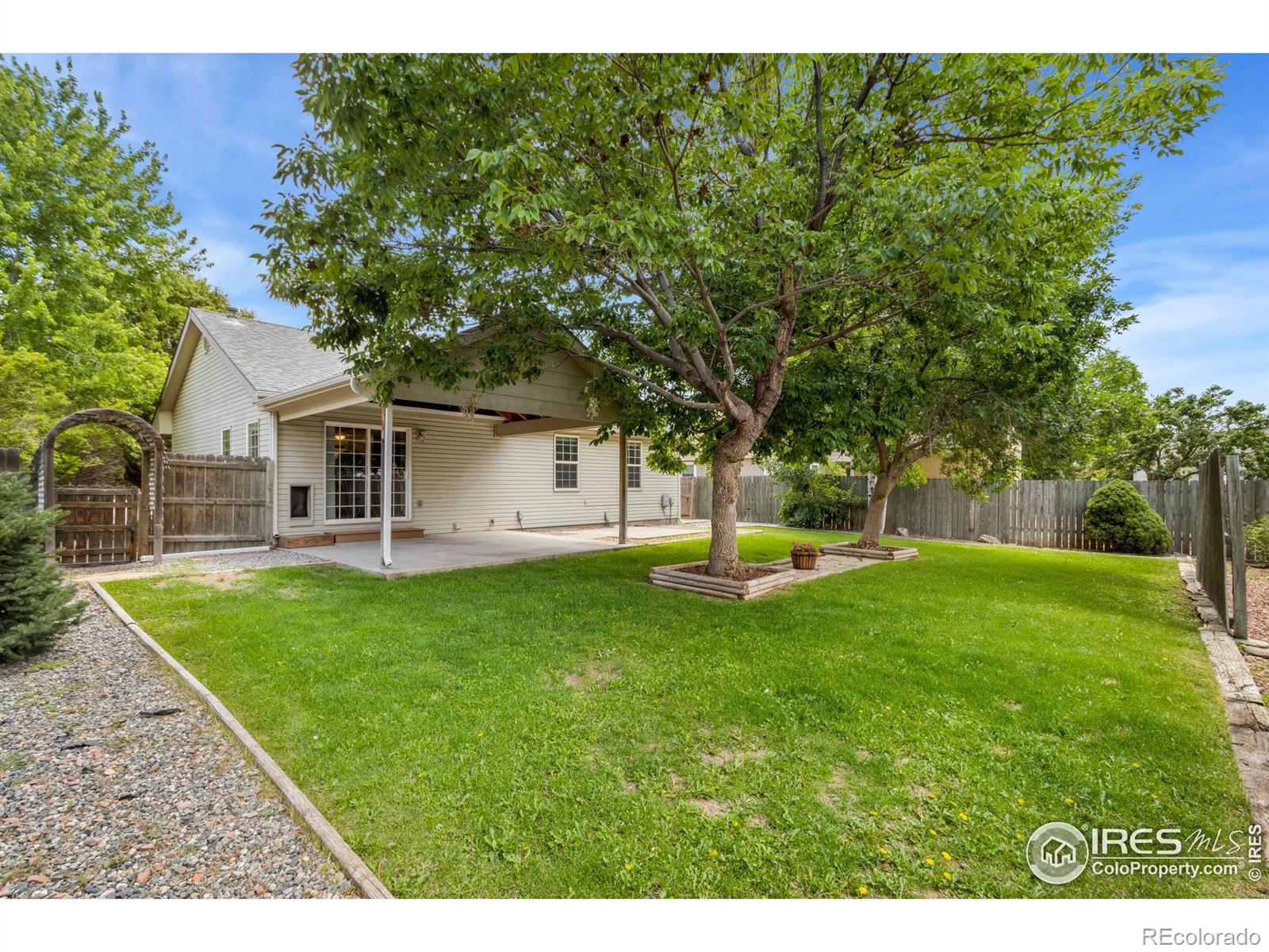 MLS Image #1 for 1012  valley drive,windsor, Colorado