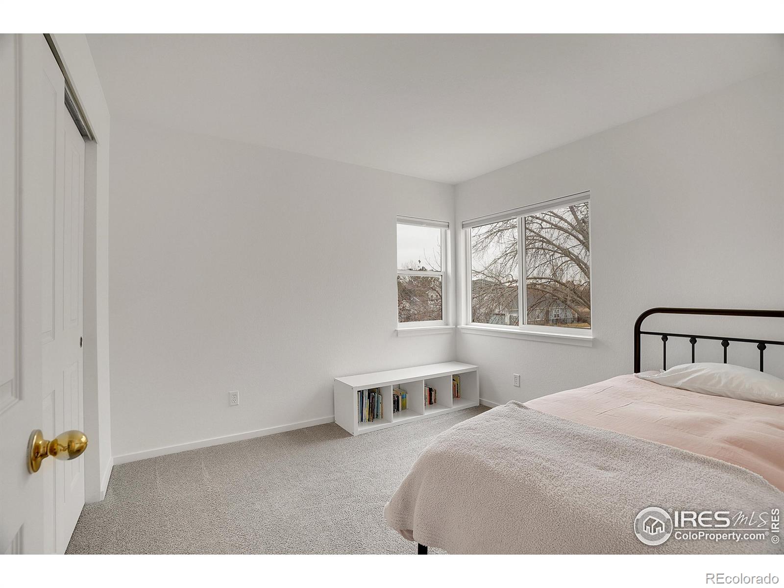 MLS Image #24 for 740  boxwood lane,longmont, Colorado